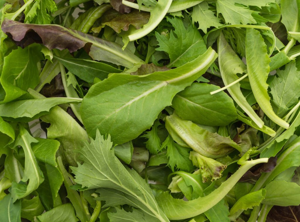 Arugula