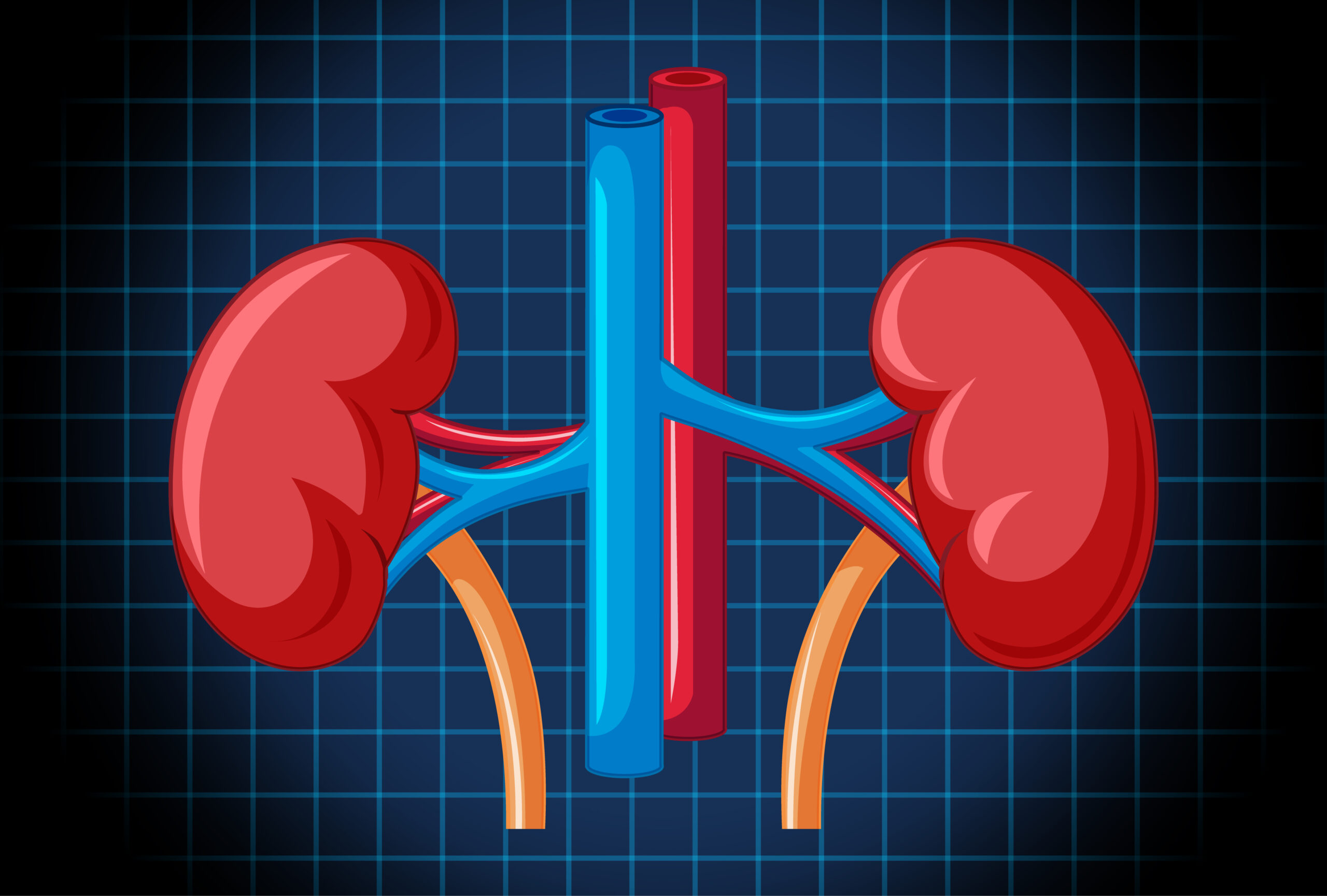 How to Care for Your Kidneys: Easy 12 Tips