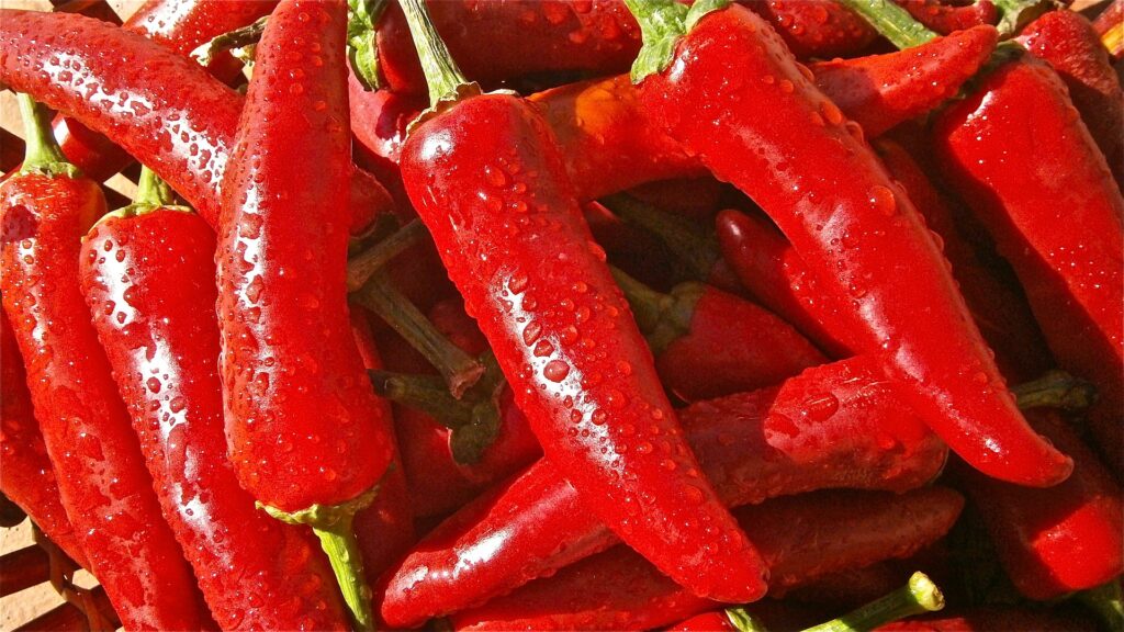 Top 7 Health Benefits and Uses of Cayenne Pepper